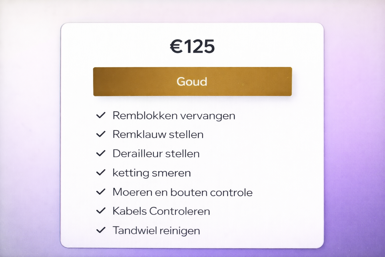 Onderhoud Diensten voor uw Fatbike Gold